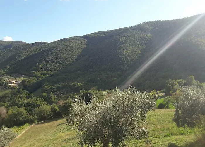 La Fattoria Di Mamma Ro' ファームステイ ナルニ